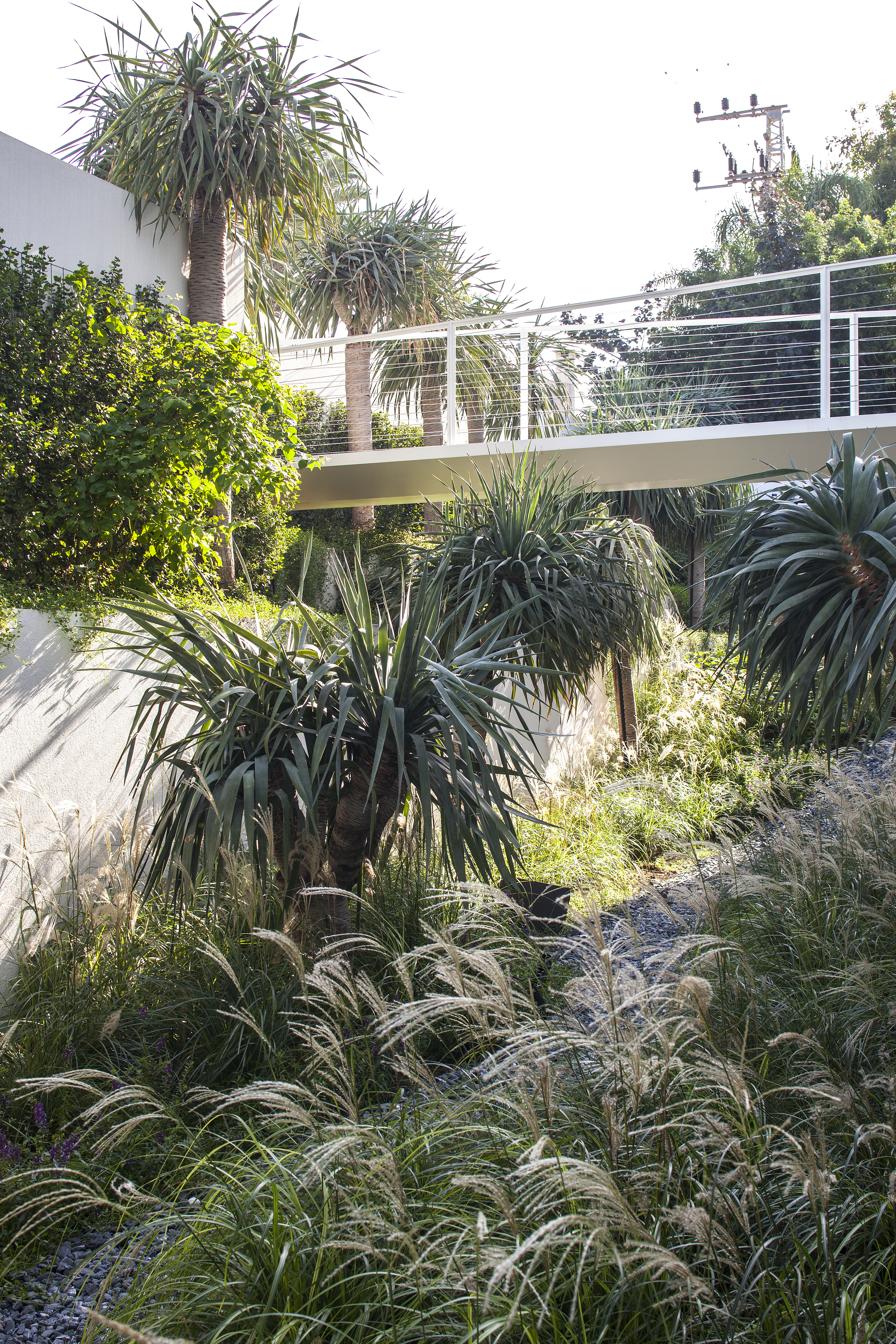 pitsou kedem zefyr life J House design architecture